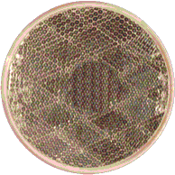 Reflector Round -Self Adhesive