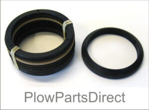 Western Cylinder seal kit packing 2"