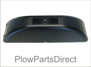 Western Nighthawk rear cover